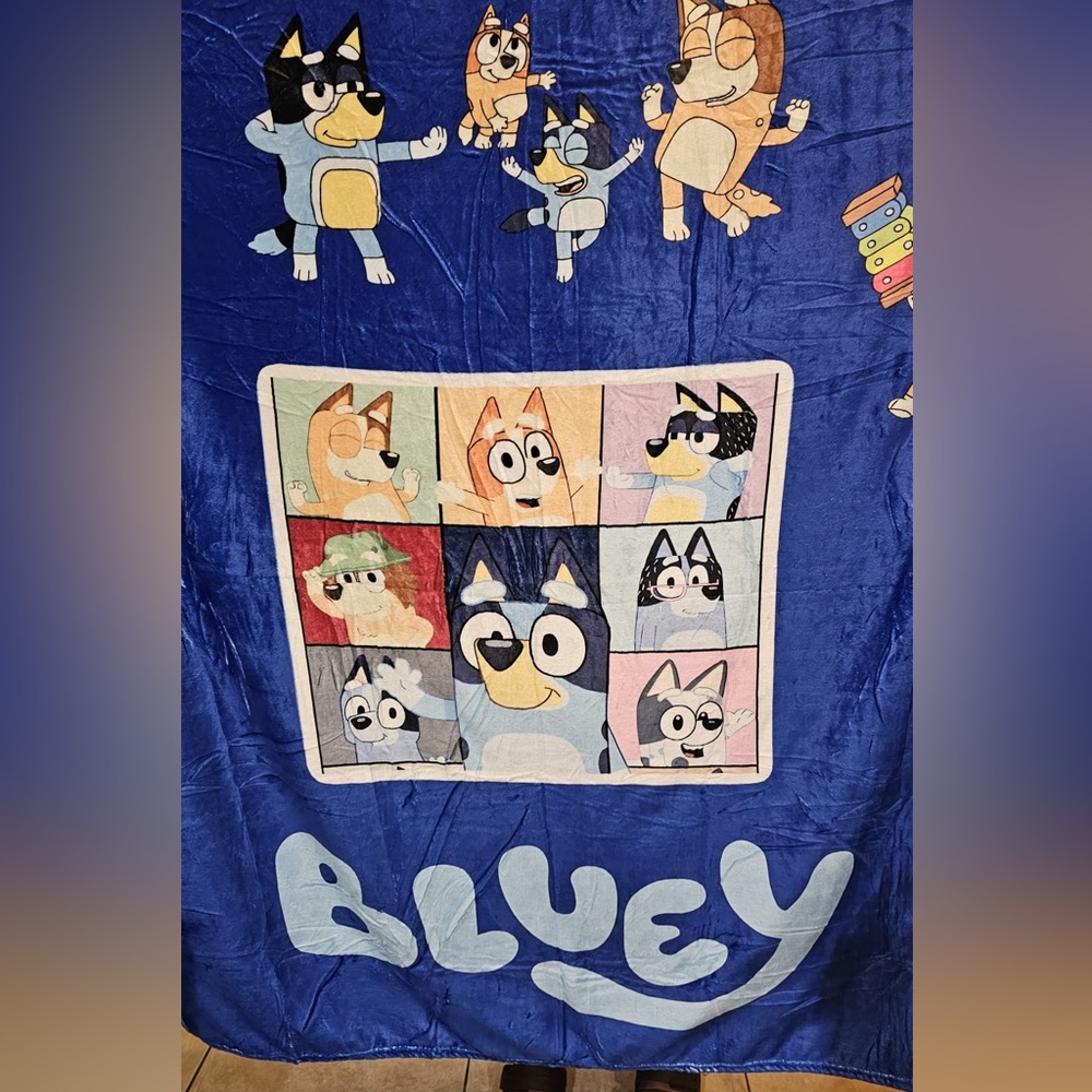 Bluey blanket